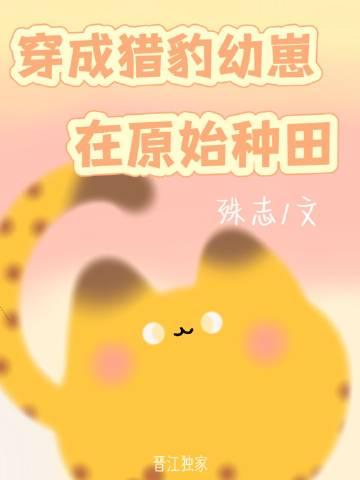 穿成猎豹怎么办