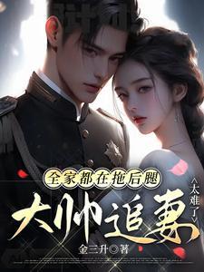 大帅追妻太难了作者金三升