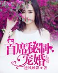 首席宠妻甜蜜蜜全文免费阅读
