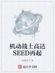 机动战士高达seedre