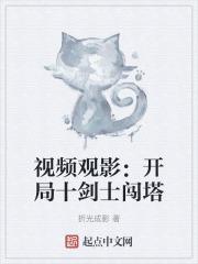 视频观影开局十剑士闯塔番茄