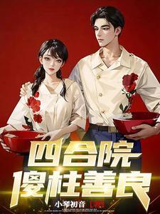 四合院傻柱善良(小琴初音)