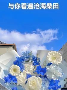 陪你看遍沧海桑田免费阅读全文