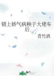 错上娇气病秧子大佬车后TXT