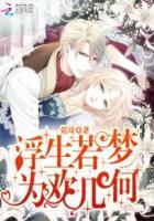 浮生若梦为欢几何下句