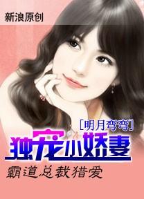 霸道总裁小娇妻阅读全文