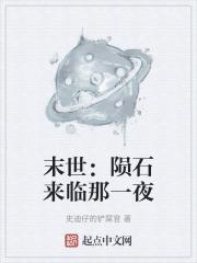 一本有关于陨石的末日