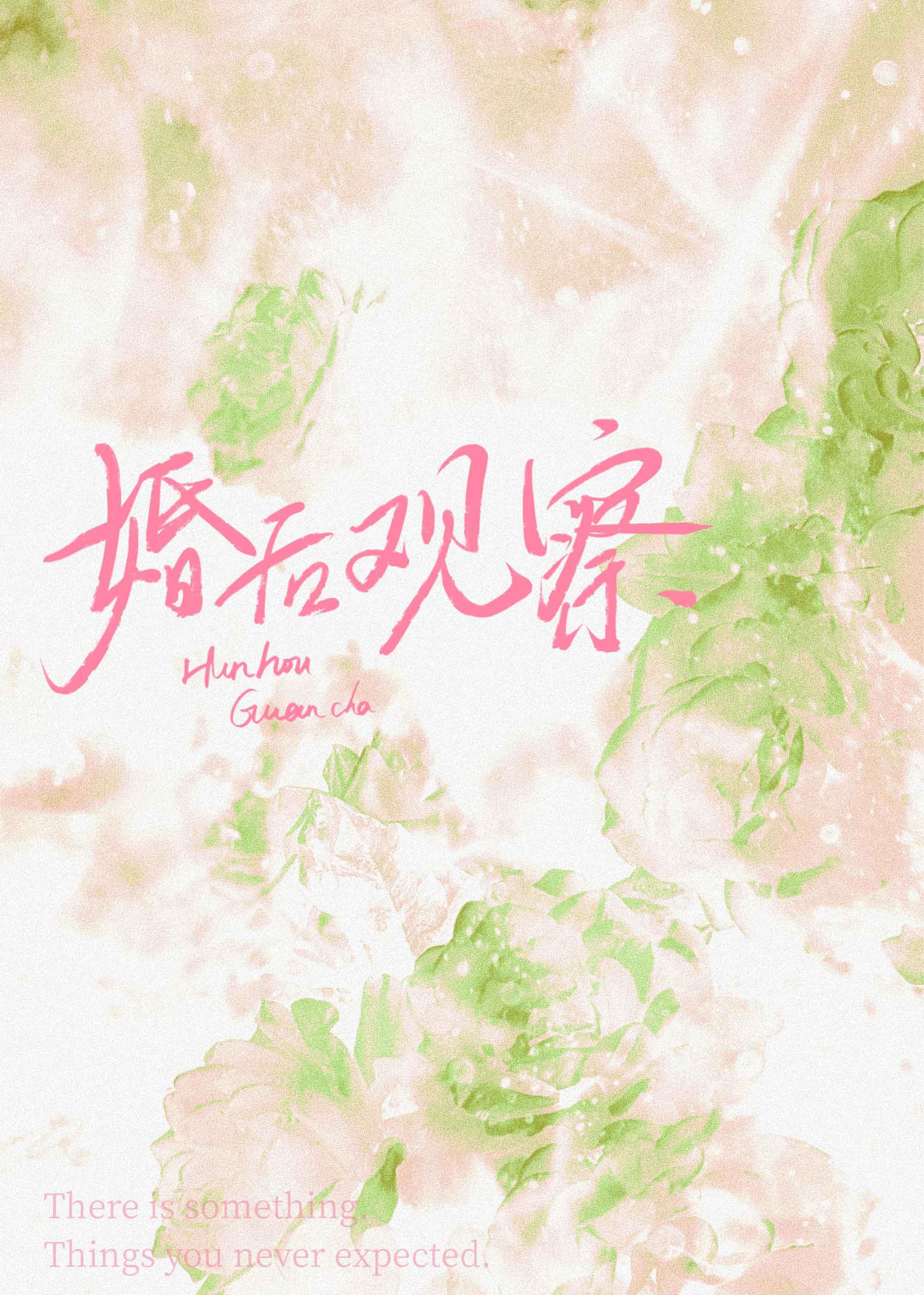 婚后观察综艺by莫心伤讲什么