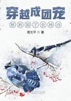 穿成团宠娇女免费