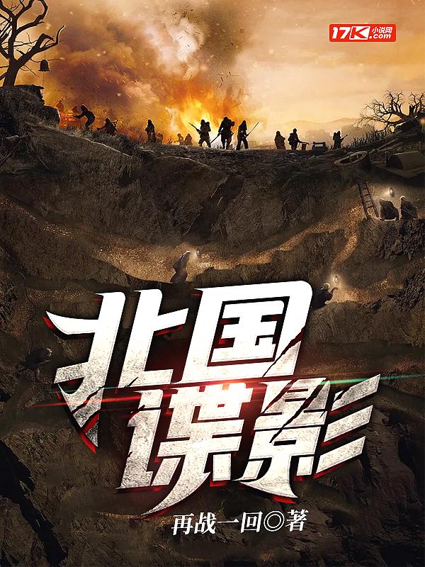 北国谍影百度