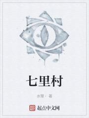 七里村村委书记个人简历