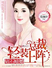 钻石暗婚全章节