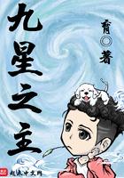九星之主境界
