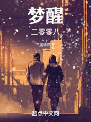 二零零八年是什么年