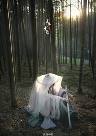 穿越三世的电视剧最后一世是女帝