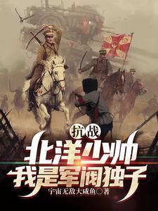 北洋军阀第一集