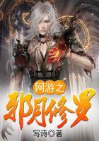 网游之邪修80