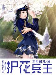护花兵王传奇