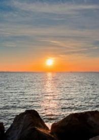 云深处有人家是什么意思