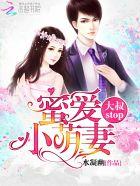 蜜爱小萌妻大叔stop无弹窗免费阅读