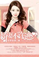 娇妻不跑总裁别慌