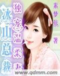 冰山总裁的宠妻全文阅读