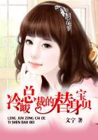 冷酷总裁替身妻