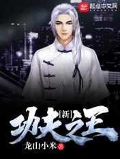 新功夫之王龙山小米