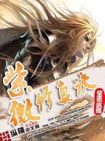 紫薇真气是什么意思