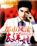 都市风流高手作者二十七