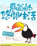 鸟爷的悠闲生活免费阅读