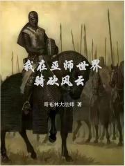 巫师3风云骑士录