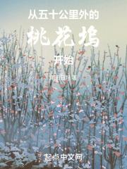 从公里外的桃花坞开始雨田日月
