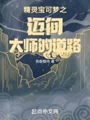 精灵之宝可梦大师