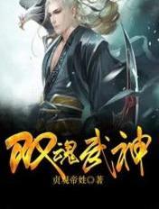 双魂武神笔趣阁