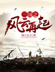 三国风云再起诸葛亮连招