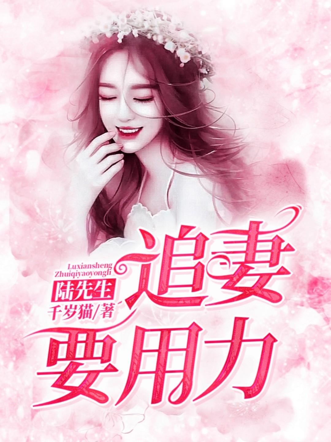 陆先生的漫漫追妻之路