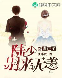 陆少别来无恙盛知夏免费阅读