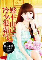 婚不由已冷少宠妻成瘾