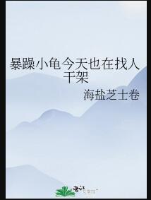 暴躁小龟今天也在找人干架作者海盐芝士卷