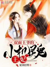 双面王爷独宠妃全文免费