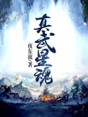 真武星魂笔趣阁