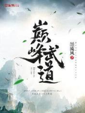 巅峰武道笔趣阁北风渺渺