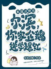 哈尔滨哪里有企鹅