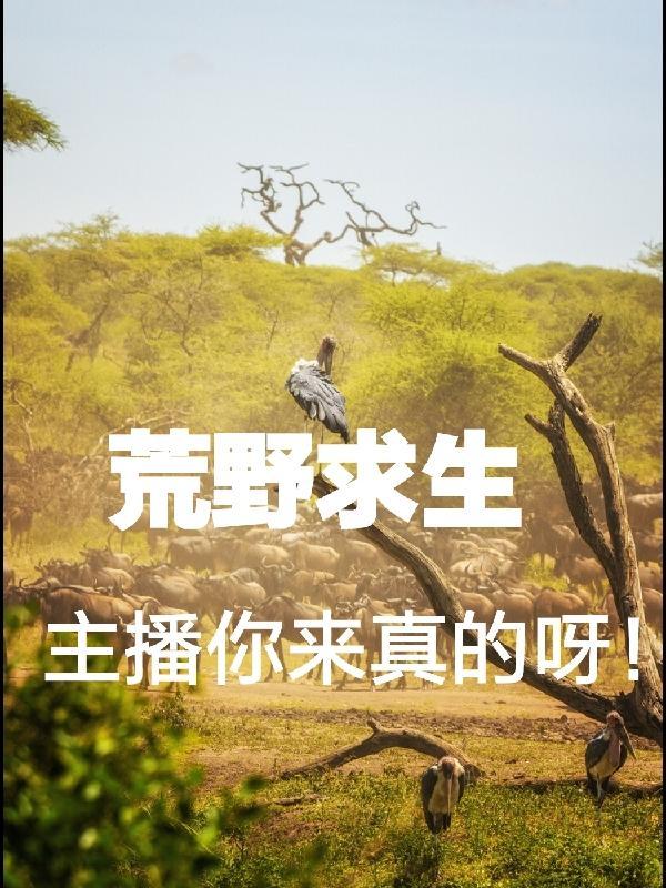 荒野求生第一主播