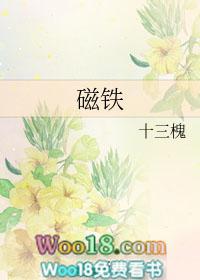 磁铁的南极用字母什么表示