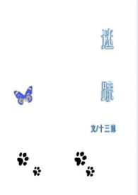 迷踪 歌曲