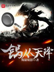 锅从天降百度