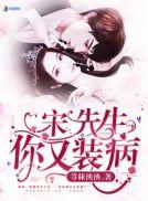 宋先生你又装病txt百度