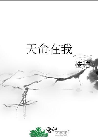 天命在我书评